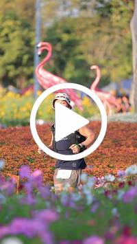 BIB:  <button type="button" onclick="openModal(27588698)" class="btn btn-primary btn-sm float-right" data-toggle="modal" data-target=".modal-high-quality">
                <i class="fa fa-download"></i> Download
                </button>